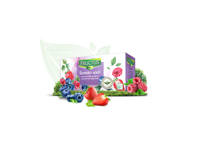 ČAJ ŠUMSKO VOĆE- EVERYDAY 50G(20X2,5G) - FRUCTUS