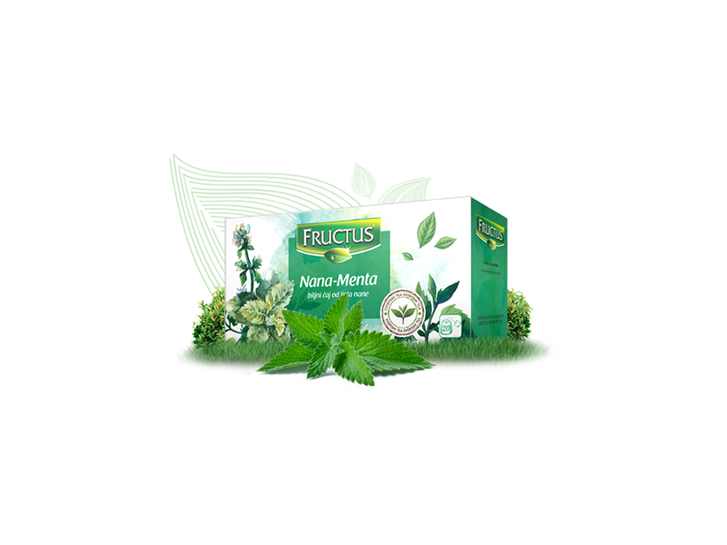 ČAJ NANA- EVERYDAY 20G(20X1G) - FRUCTUS