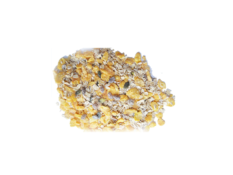 MUSLI CLASIC 0,75KG - TIRA