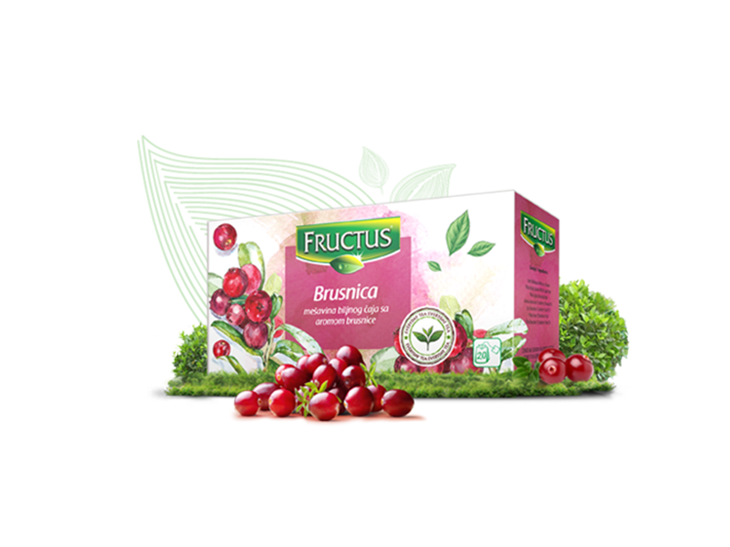 ČAJ BRUSNICA- Everyday 40g(20x2g) - FRUCTUS