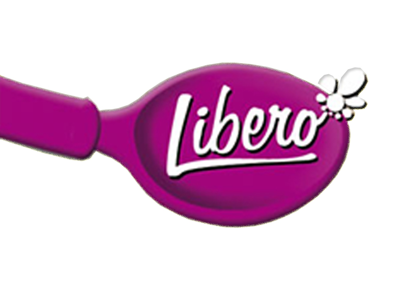 LIBERO TEAM DOO BEOGRAD
